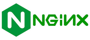 nginx.jpg
